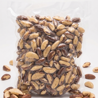 Castanha-do-Pará Premium 1kg | Selecionada e Embalada a Vácuo